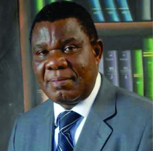 Dr. Olufemi OYINSAN - Council Member